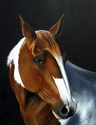 Pet Potrait Horse